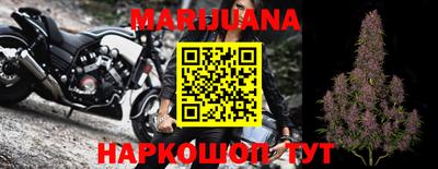 spice Краснознаменск