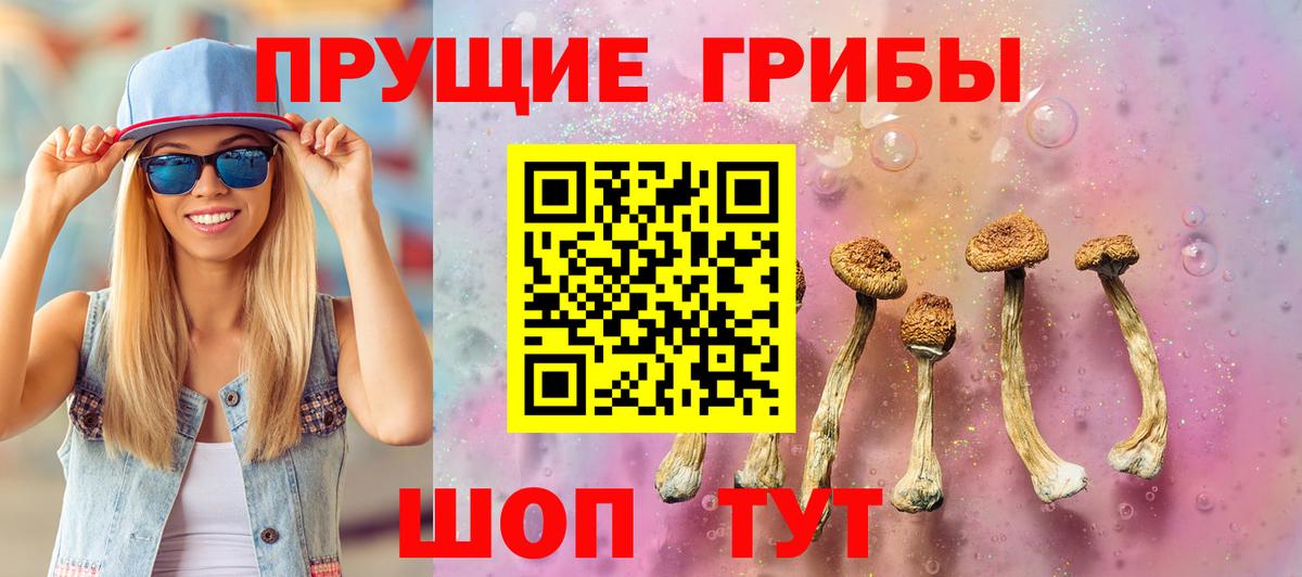 Дмитров  где купить   Вход с VPN  Галлюциногенные грибы Cubensis  Псилоцибиновые грибы GOLDEN TEACHER 